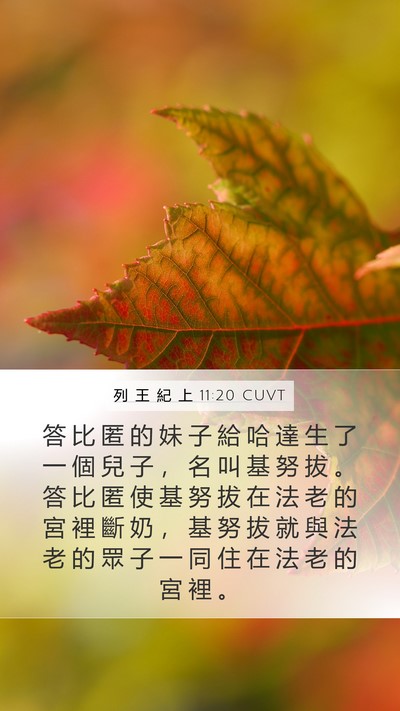 列 王 紀 上 11:20 CUVT Mobile Phone Wallpaper - 答 比 匿 的 妹 子 給 哈 達 生 了 一 - Mobile Bible Verse Wallpaper