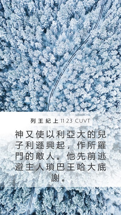 列 王 紀 上 11:23 CUVT Bible Verse Image