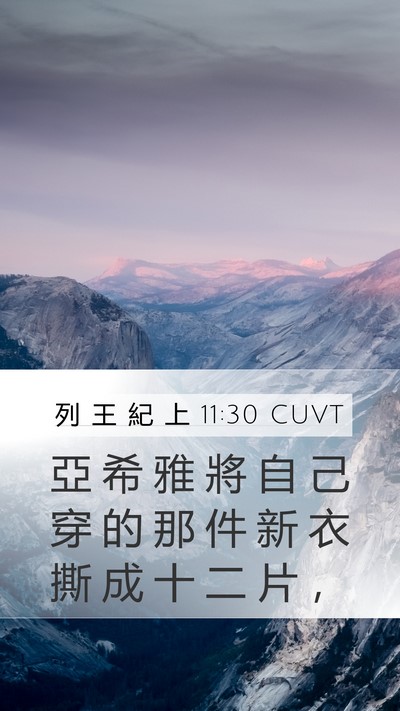 列 王 紀 上 11:30 CUVT Bible Verse Image