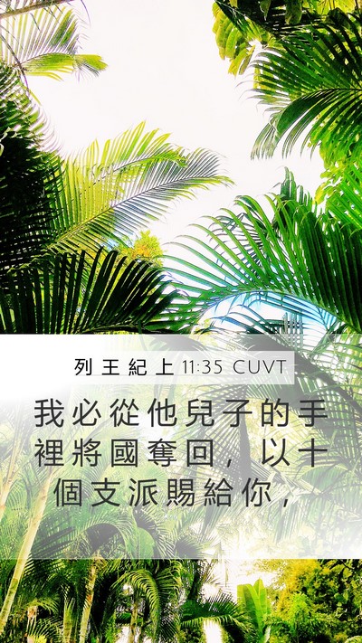 列 王 紀 上 11:35 CUVT Mobile Phone Wallpaper - 我 必 從 他 兒 子 的 手 裡 將 國 奪 - Mobile Bible Verse Wallpaper