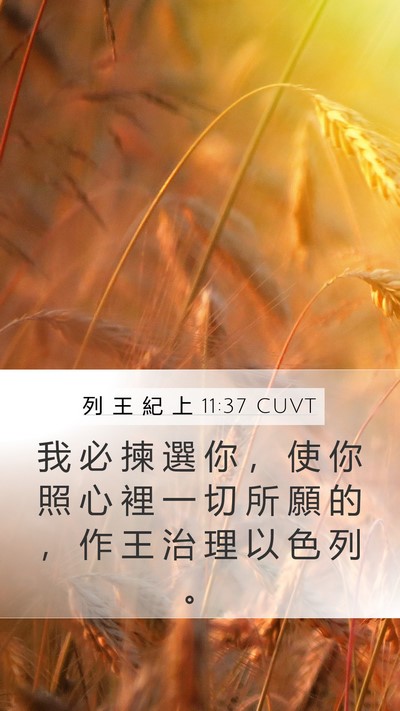列 王 紀 上 11:37 CUVT Mobile Phone Wallpaper - 我 必 揀 選 你 ， 使 你 照 心 裡 一 - Mobile Bible Verse Wallpaper