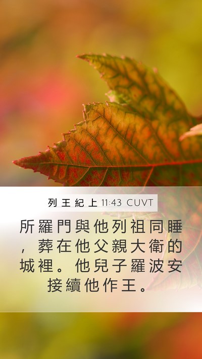 列 王 紀 上 11:43 CUVT Bible Verse Image
