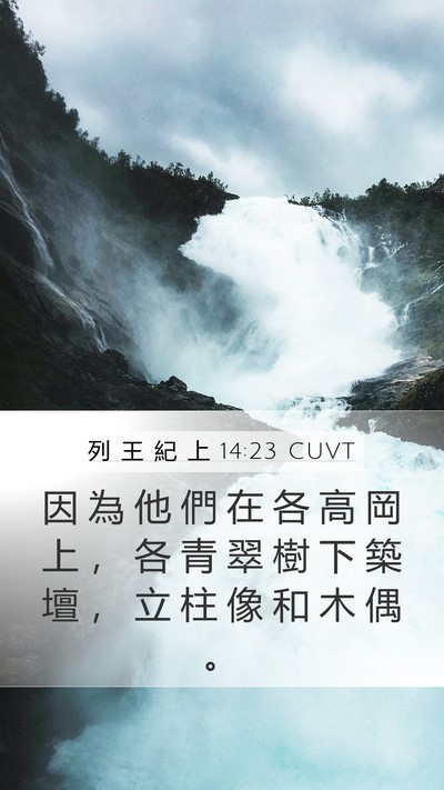 列 王 紀 上 14:23 CUVT Bible Verse Image