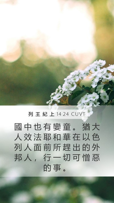 列 王 紀 上 14:24 CUVT Bible Verse Image