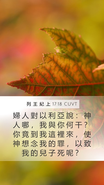 列 王 紀 上 17:18 CUVT Bible Verse Image