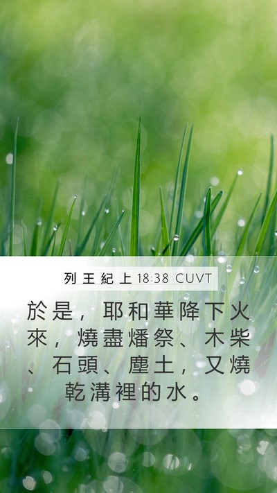 列 王 紀 上 18:38 CUVT Bible Verse Image