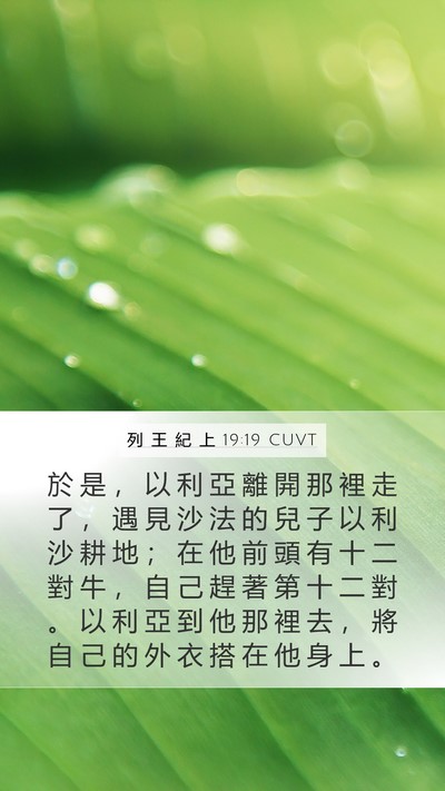 列 王 紀 上 19:19 CUVT Bible Verse Image
