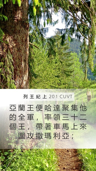 列 王 紀 上 20:1 CUVT Bible Verse Image