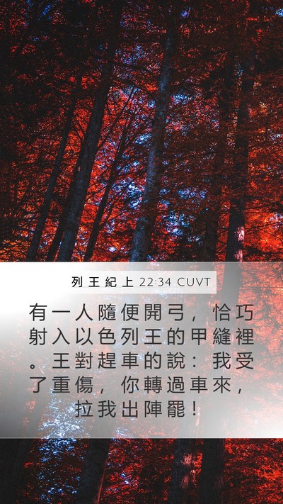 列 王 紀 上 22:34 CUVT Bible Verse Image