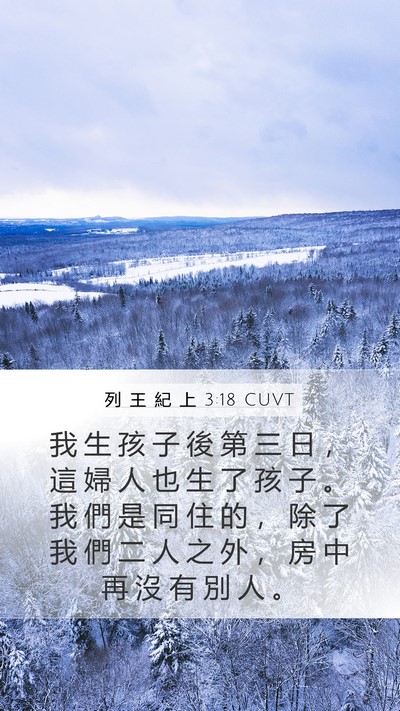 列 王 紀 上 3:18 CUVT Mobile Phone Wallpaper - 我 生 孩 子 後 第 三 日 ， 這 婦 人 - Mobile Bible Verse Wallpaper