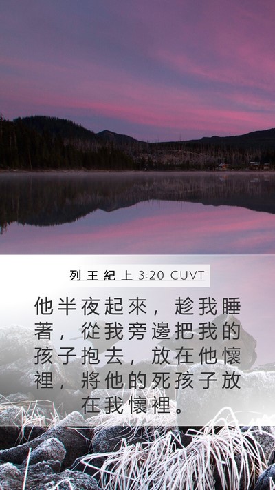 列 王 紀 上 3:20 CUVT Mobile Phone Wallpaper - 他 半 夜 起 來 ， 趁 我 睡 著 ， 從 - Mobile Bible Verse Wallpaper