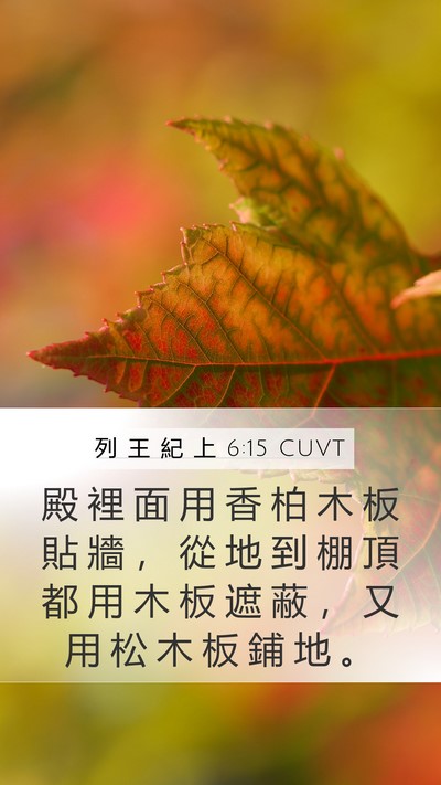 列 王 紀 上 6:15 CUVT Bible Verse Image