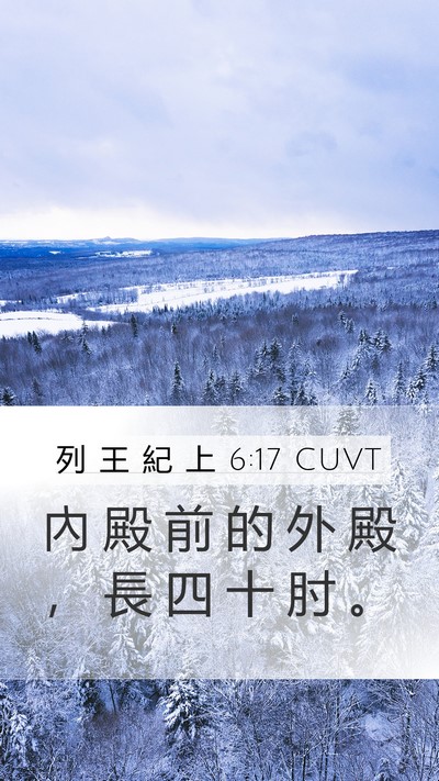 列 王 紀 上 6:17 CUVT Mobile Phone Wallpaper - 內 殿 前 的 外 殿 ， 長 四 十 肘 - Mobile Bible Verse Wallpaper