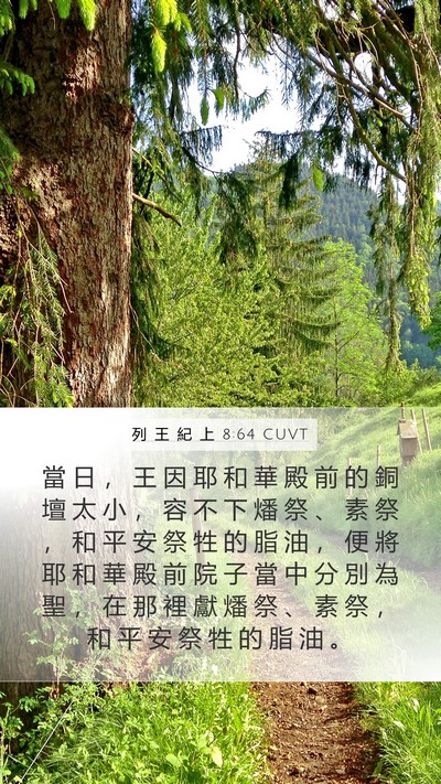 列 王 紀 上 8:64 CUVT Bible Verse Image