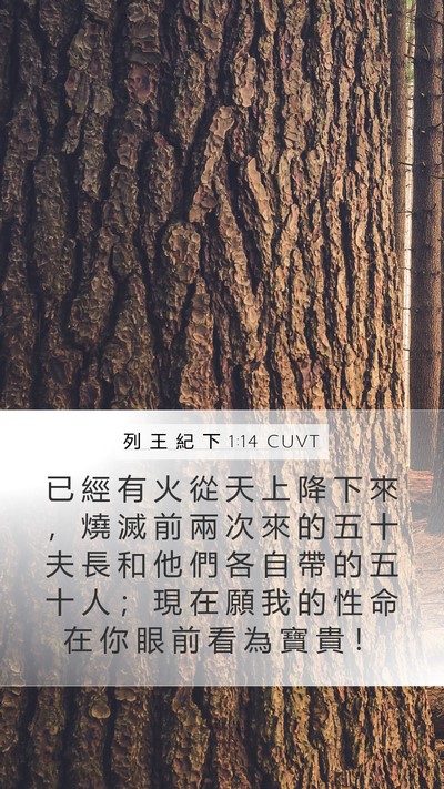 列 王 紀 下 1:14 CUVT Mobile Phone Wallpaper - 已 經 有 火 從 天 上 降 下 來 ， 燒 - Mobile Bible Verse Wallpaper