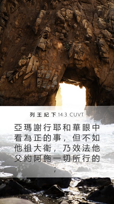 列 王 紀 下 14:3 CUVT Bible Verse Image