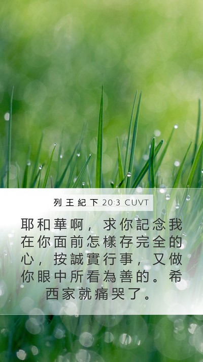 列 王 紀 下 20:3 CUVT Bible Verse Image