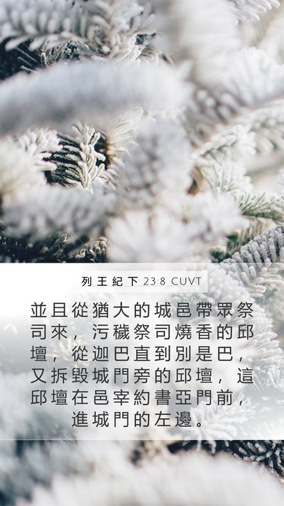 列 王 紀 下 23:8 CUVT Mobile Phone Wallpaper - 並 且 從 猶 大 的 城 邑 帶 眾 祭 司 - Mobile Bible Verse Wallpaper