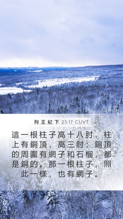 列 王 紀 下 25:17 CUVT Bible Verse Image
