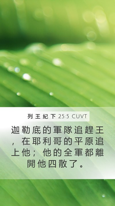 列 王 紀 下 25:5 CUVT Bible Verse Image