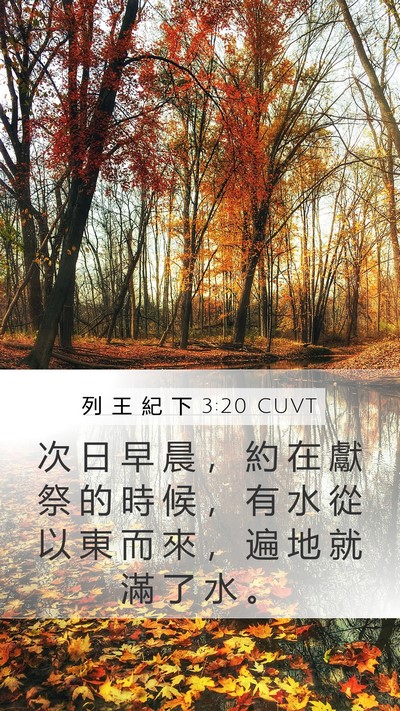 列 王 紀 下 3:20 CUVT Mobile Phone Wallpaper - 次 日 早 晨 ， 約 在 獻 祭 的 時 候 - Mobile Bible Verse Wallpaper