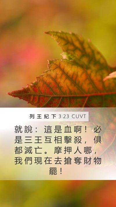 列 王 紀 下 3:23 CUVT Bible Verse Image