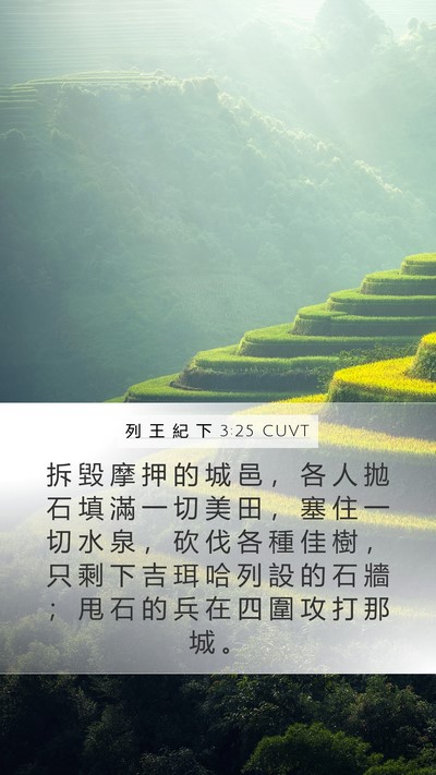 列 王 紀 下 3:25 CUVT Bible Verse Image