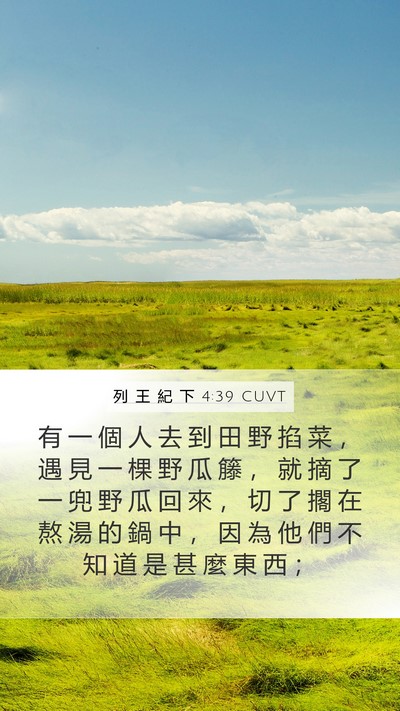 列 王 紀 下 4:39 CUVT Mobile Phone Wallpaper - 有 一 個 人 去 到 田 野 掐 菜 ， 遇 - Mobile Bible Verse Wallpaper