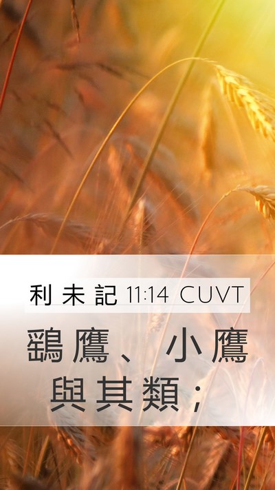 利 未 記 11:14 CUVT Mobile Phone Wallpaper - 鷂 鷹 、 小 鷹 與 其 類 - Mobile Bible Verse Wallpaper