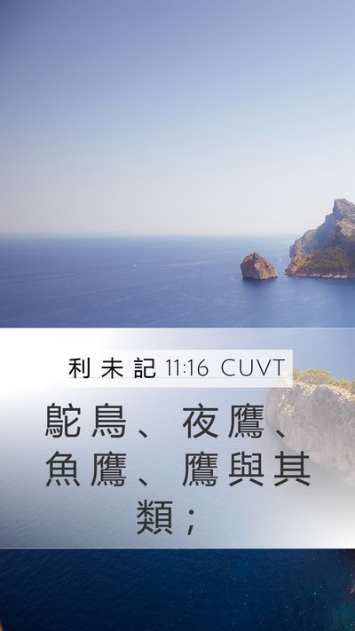 利 未 記 11:16 CUVT Mobile Phone Wallpaper - 鴕 鳥 、 夜 鷹 、 魚 鷹 、 鷹 與 其 - Mobile Bible Verse Wallpaper