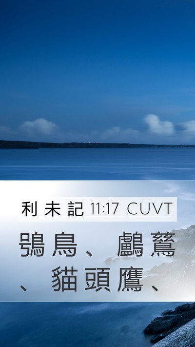 利 未 記 11:17 CUVT Mobile Phone Wallpaper - 鴞 鳥 、 鸕 鶿 、 貓 頭 鷹 - Mobile Bible Verse Wallpaper