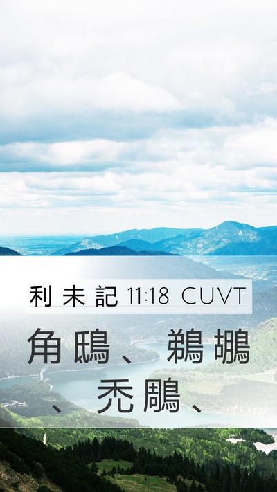 利 未 記 11:18 CUVT Mobile Phone Wallpaper - 角 鴟 、 鵜 鶘 、 禿 鵰 - Mobile Bible Verse Wallpaper