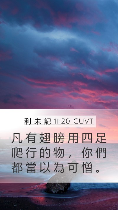 利 未 記 11:20 CUVT Bible Verse Image