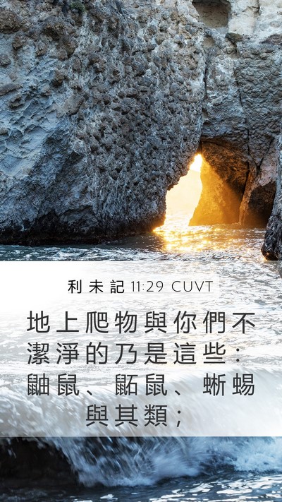 利 未 記 11:29 CUVT Bible Verse Image