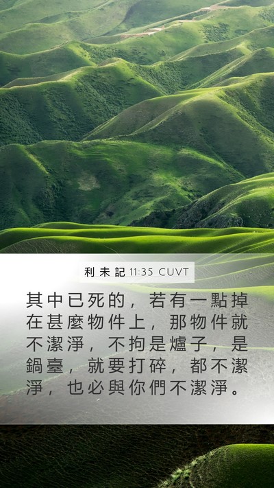 利 未 記 11:35 CUVT Bible Verse Image