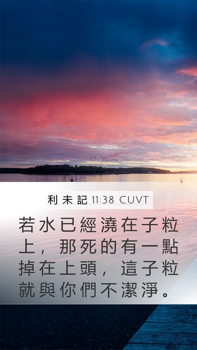 利 未 記 11:38 CUVT Mobile Phone Wallpaper - 若 水 已 經 澆 在 子 粒 上 ， 那 死 - Mobile Bible Verse Wallpaper