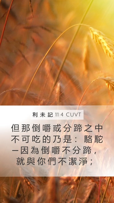 利 未 記 11:4 CUVT Mobile Phone Wallpaper - 但 那 倒 嚼 或 分 蹄 之 中 不 可 吃 - Mobile Bible Verse Wallpaper