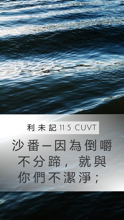 利 未 記 11:5 CUVT Bible Verse Image