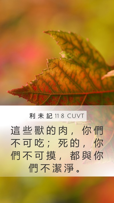 利 未 記 11:8 CUVT Mobile Phone Wallpaper - 這 些 獸 的 肉 ， 你 們 不 可 吃 ； - Mobile Bible Verse Wallpaper