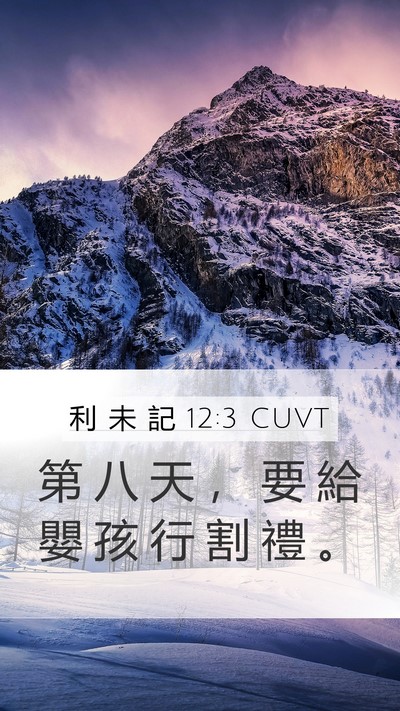 利 未 記 12:3 CUVT Bible Verse Image