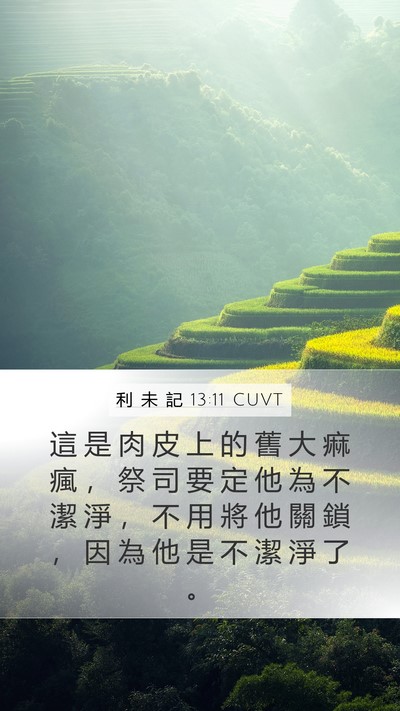 利 未 記 13:11 CUVT Mobile Phone Wallpaper - 這 是 肉 皮 上 的 舊 大 痲 瘋 ， 祭 - Mobile Bible Verse Wallpaper