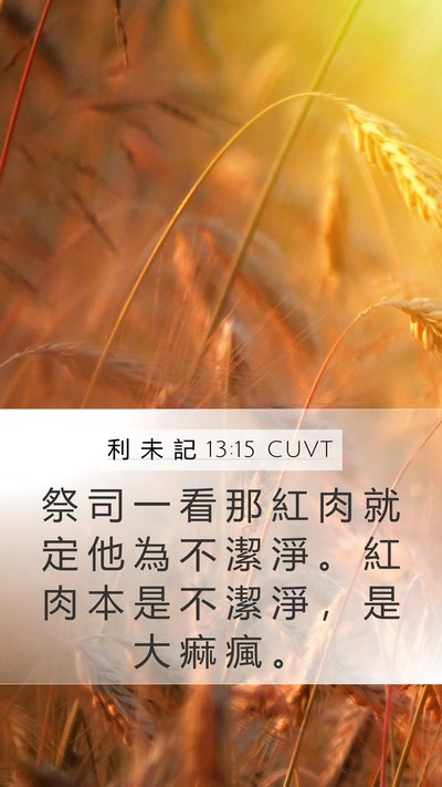 利 未 記 13:15 CUVT Mobile Phone Wallpaper - 祭 司 一 看 那 紅 肉 就 定 他 為 不 - Mobile Bible Verse Wallpaper