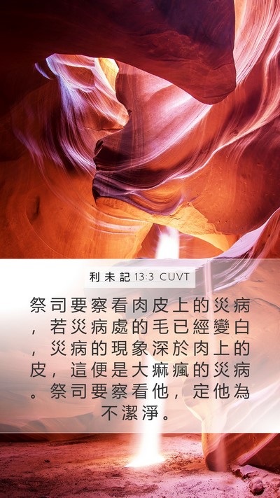 利 未 記 13:3 CUVT Mobile Phone Wallpaper - 祭 司 要 察 看 肉 皮 上 的 災 病 ， - Mobile Bible Verse Wallpaper