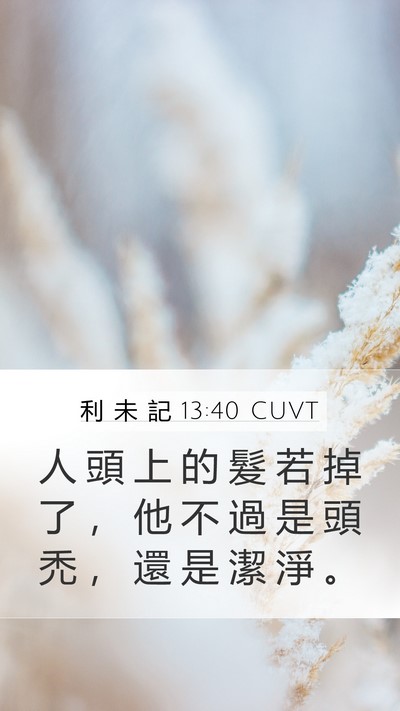 利 未 記 13:40 CUVT Mobile Phone Wallpaper - 人 頭 上 的 髮 若 掉 了 ， 他 不 過 - Mobile Bible Verse Wallpaper