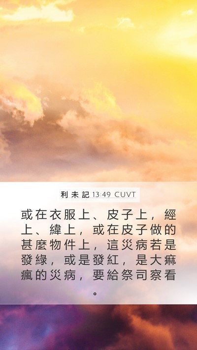 利 未 記 13:49 CUVT Mobile Phone Wallpaper - 或 在 衣 服 上 、 皮 子 上 ， 經 上 - Mobile Bible Verse Wallpaper