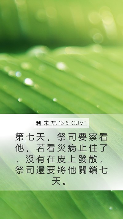 利 未 記 13:5 CUVT Mobile Phone Wallpaper - 第 七 天 ， 祭 司 要 察 看 他 ， 若 - Mobile Bible Verse Wallpaper