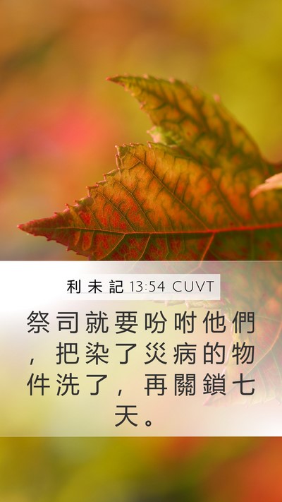 利 未 記 13:54 CUVT Mobile Phone Wallpaper - 祭 司 就 要 吩 咐 他 們 ， 把 染 了 - Mobile Bible Verse Wallpaper