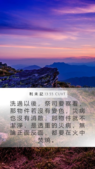 利 未 記 13:55 CUVT Mobile Phone Wallpaper - 洗 過 以 後 ， 祭 司 要 察 看 ， 那 - Mobile Bible Verse Wallpaper