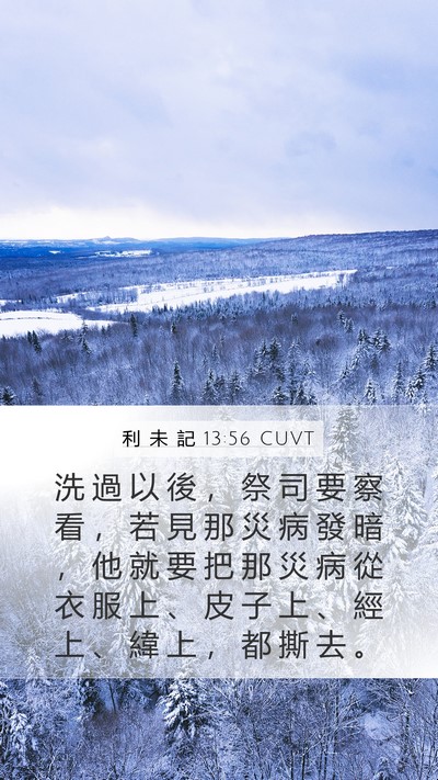 利 未 記 13:56 CUVT Mobile Phone Wallpaper - 洗 過 以 後 ， 祭 司 要 察 看 ， 若 - Mobile Bible Verse Wallpaper