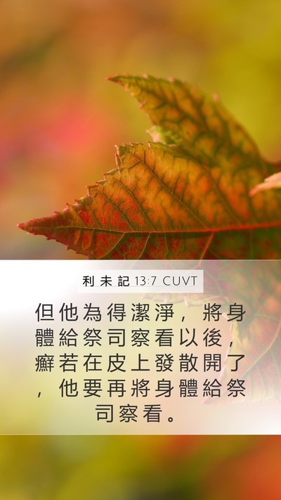 利 未 記 13:7 CUVT Mobile Phone Wallpaper - 但 他 為 得 潔 淨 ， 將 身 體 給 祭 - Mobile Bible Verse Wallpaper